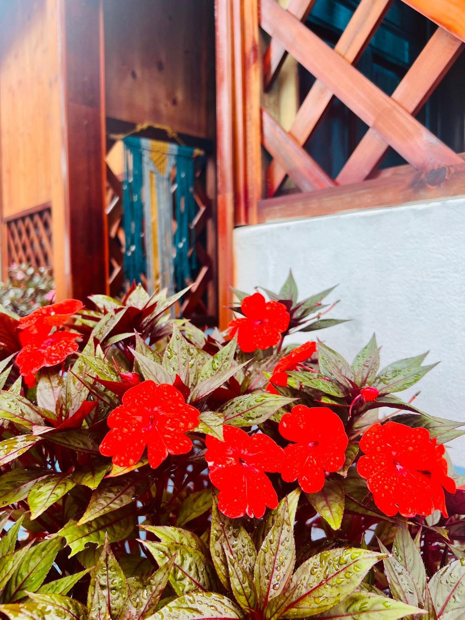 Vietnam Phuot Real Home Kon Tum Quarto foto